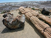 Crystal forest FP (8).JPG